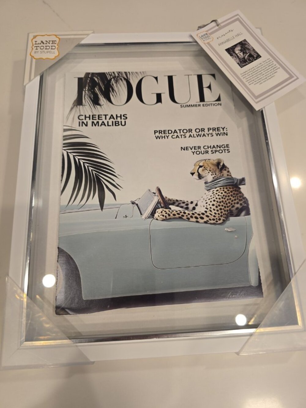 Lane Todd Stupell Framed Shadow Box Glass Annabell ROUGE CHEETAH CAR MALIBU Art